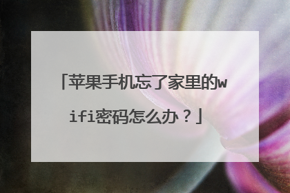 苹果手机忘了家里的wifi密码怎么办？