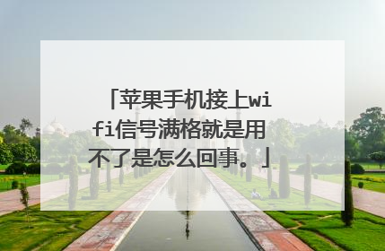 苹果手机接上wifi信号满格就是用不了是怎么回事。