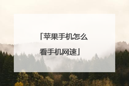 苹果手机怎么看手机网速