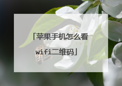 苹果手机怎么看wifi二维码