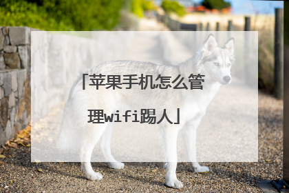 苹果手机怎么管理wifi踢人