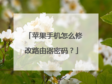 苹果手机怎么修改路由器密码?