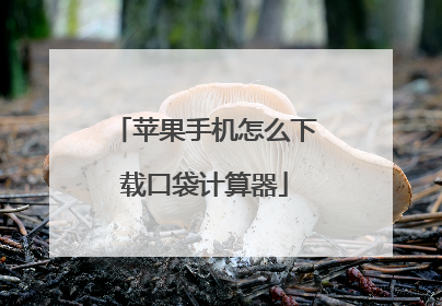 苹果手机怎么下载口袋计算器