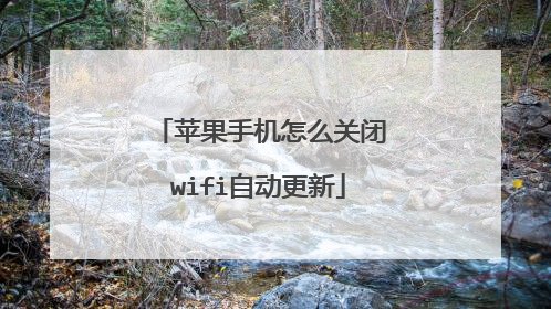 苹果手机怎么关闭wifi自动更新