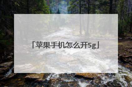 苹果手机怎么开5g