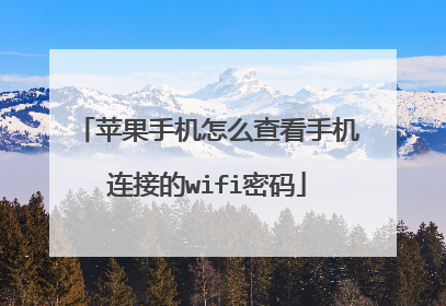 苹果手机怎么查看手机连接的wifi密码