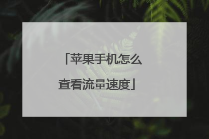 苹果手机怎么查看流量速度