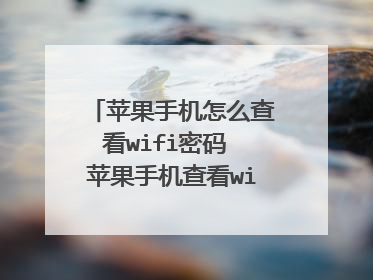 苹果手机怎么查看wifi密码 苹果手机查看wifi密码的方法