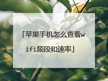 苹果手机怎么查看wifi频段和速率
