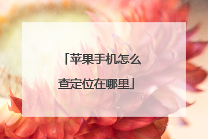 苹果手机怎么查定位在哪里