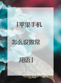 苹果手机怎么设置常用语