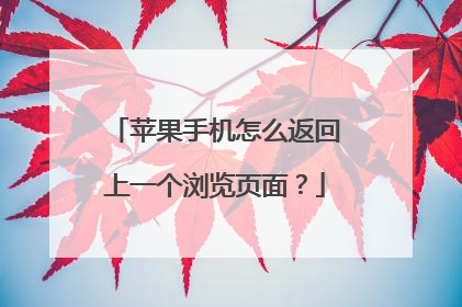 苹果手机怎么返回上一个浏览页面？