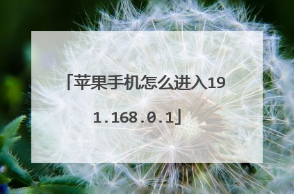 苹果手机怎么进入191.168.0.1
