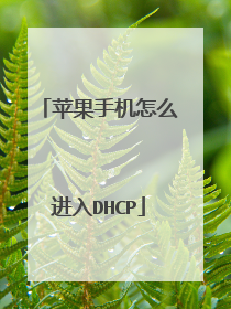 苹果手机怎么进入DHCP