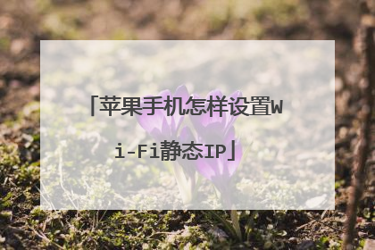 苹果手机怎样设置Wi-Fi静态IP