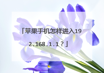 苹果手机怎样进入192.168.1.1？