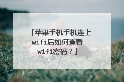 苹果手机手机连上wifi后如何查看wifi密码？