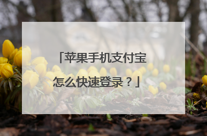 苹果手机支付宝怎么快速登录?