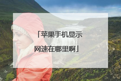 苹果手机显示网速在哪里啊