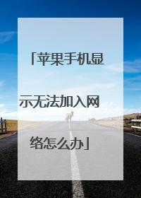 苹果手机显示无法加入网络怎么办