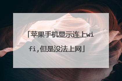 苹果手机显示连上wifi,但是没法上网