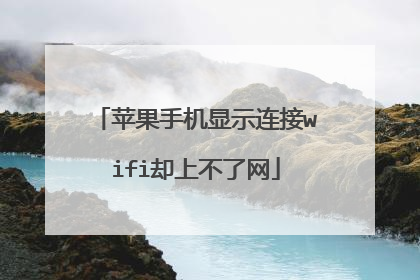 苹果手机显示连接wifi却上不了网