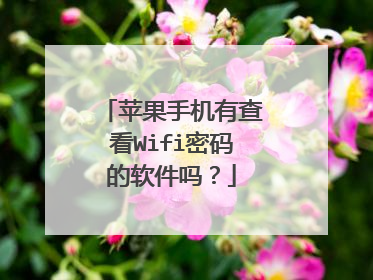 苹果手机有查看Wifi密码的软件吗？
