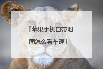 苹果手机自带地图怎么看车速