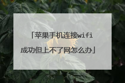 苹果手机连接wifi成功但上不了网怎么办