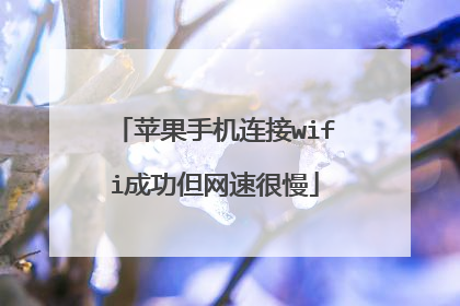 苹果手机连接wifi成功但网速很慢