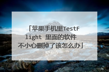 苹果手机里TestFlight 里面的软件不小心删掉了该怎么办