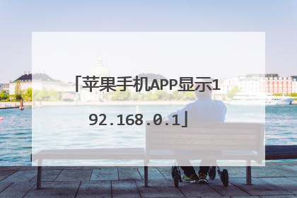 苹果手机APP显示192.168.0.1