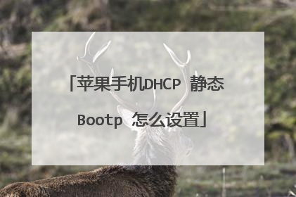 苹果手机DHCP 静态 Bootp 怎么设置