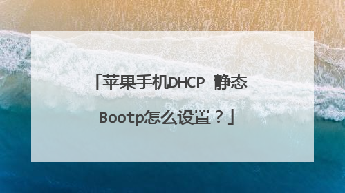 苹果手机DHCP 静态 Bootp怎么设置？