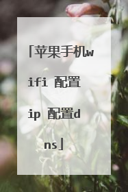 苹果手机wifi 配置ip 配置dns