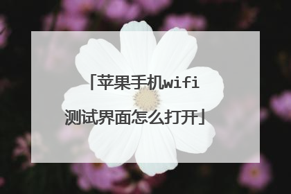 苹果手机wifi测试界面怎么打开