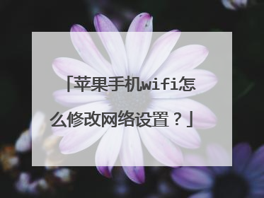 苹果手机wifi怎么修改网络设置?