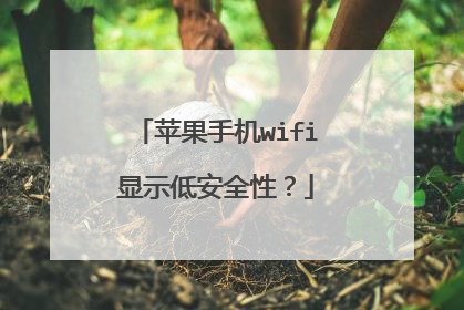 苹果手机wifi显示低安全性？
