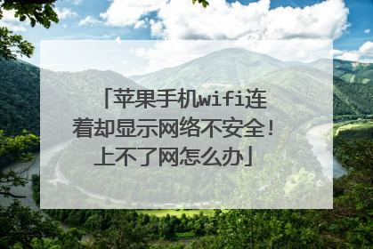 苹果手机wifi连着却显示网络不安全!上不了网怎么办