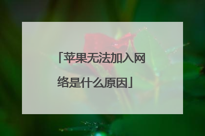苹果无法加入网络是什么原因