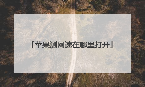 苹果测网速在哪里打开