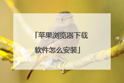 苹果浏览器下载软件怎么安装
