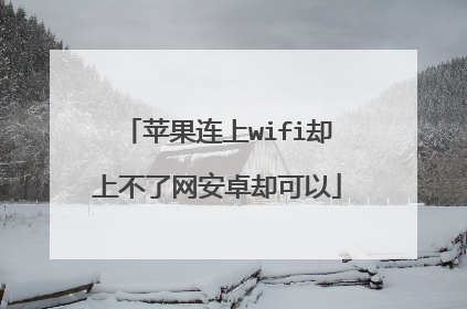 苹果连上wifi却上不了网安卓却可以