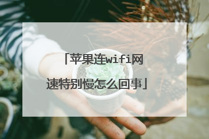 苹果连wifi网速特别慢怎么回事