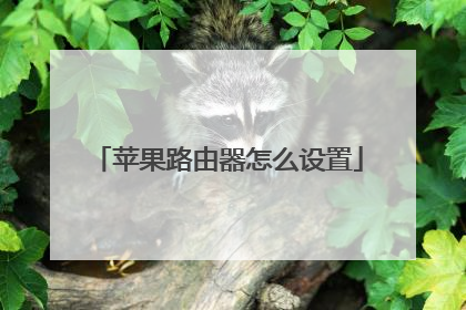 苹果路由器怎么设置