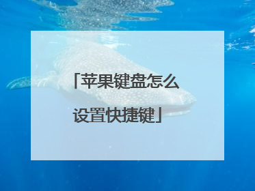 苹果键盘怎么设置快捷键