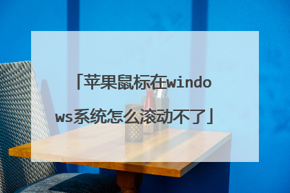 苹果鼠标在windows系统怎么滚动不了