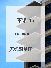 苹果11pro max无线网禁用
