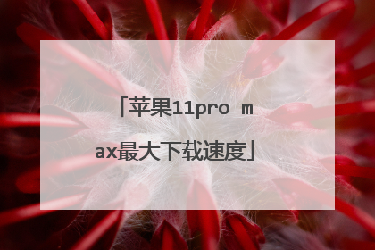 苹果11pro max最大下载速度