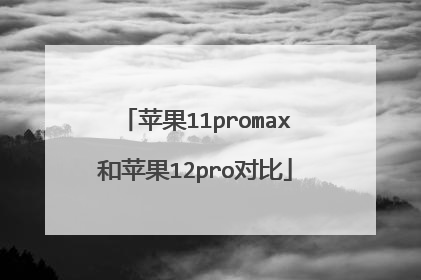 苹果11promax和苹果12pro对比